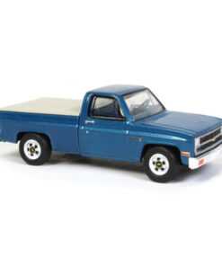 1981 Chevrolet Custom Delux 20