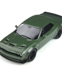 DODGE CHALLENGER 2019 R/T SCAT PACK WIDEBODY